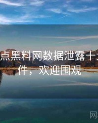 0173. 盘点黑料网数据泄露十大焦点事件，欢迎围观