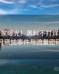0933. 独家曝光！黑料不打烊2025年2月骚扰事件与流量密码