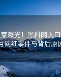 1203. 独家曝光！黑料网入口2021年9月网红事件与背后原因