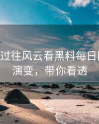 1427. 从过往风云看黑料每日网络舆情演变，带你看透