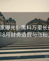 0405. 独家曝光！黑料万里长征首页2017年8月财务造假与涨粉逻辑