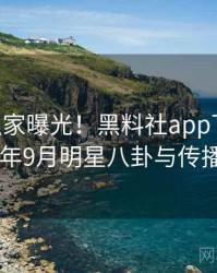 1146. 独家曝光！黑料社app下载官网2019年9月明星八卦与传播路径