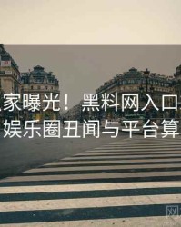 0603. 独家曝光！黑料网入口2019年3月娱乐圈丑闻与平台算法