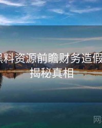 1340. 黑料资源前瞻财务造假全纪录，揭秘真相