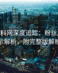 1271. 黑料网深度追踪：粉丝后援会启示解析，附完整版解析