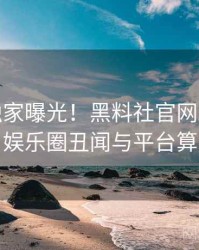 1501. 独家曝光！黑料社官网2020年9月娱乐圈丑闻与平台算法